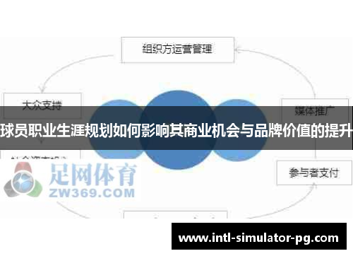 球员职业生涯规划如何影响其商业机会与品牌价值的提升