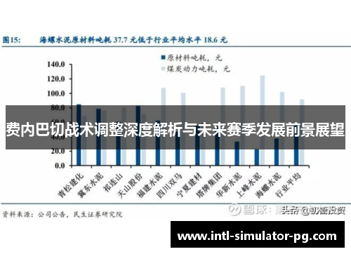 费内巴切战术调整深度解析与未来赛季发展前景展望